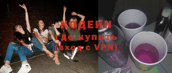 spice Богородицк