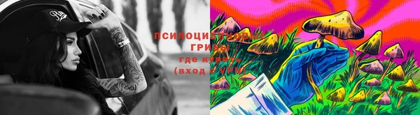 эйфоретик Беломорск