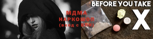 spice Богородицк